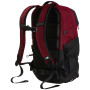 Rucsac urban The North Face Borealis