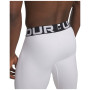 Colanți bărbați Under Armour CG Armour Leggings