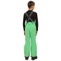 Pantaloni de schi copii Kilpi Mimas-J GRN