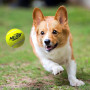 Jucărie pentru câini Nerf Dog Blaster + Tennis Balls 3 pcs