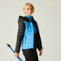 Geacă de iarnă femei Dare 2b Womens Aero Fuse Padded Jacket