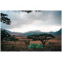 Cort turistic Vango Scafell 300 Plus