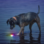 Jucărie pentru câini Nite Ize Glowstreak LED Ball