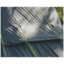 Cort turistic Outwell Cloud 5
