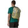 Rucsac Patagonia Refugio Day Pack 30L