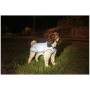 Pelerină de ploaie pentru câini Mountain Paws Reflective Fleece-Lined Dog Raincoat