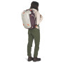 Rucsac de călătorie Osprey Transporter Travel Pack 36