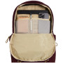 Rucsac The North Face Jester Pro