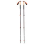 Bețe de trekking Black Diamond Trail Cork Trekking Poles