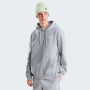 Hanorac bărbați The North Face M Evolution Simple Dome Regular Hoodie