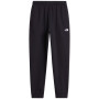 Pantaloni jogging bărbați The North Face M Evolution Simple Dome Regular Jogger negru TNF BLACK