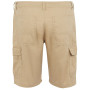 Pantaloni scurți bărbați Regatta Ruwan Shorts