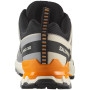 Încălțăminte bărbați Salomon Xa Pro 3D V9