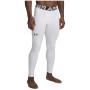 Colanți bărbați Under Armour CG Armour Leggings