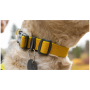 Zgardă pentru câini Ruffwear Hi & Light™ Collar