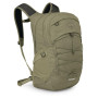 Culoare: olive