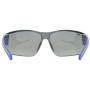 Ochelari de soare Uvex Equate