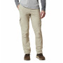 Pantaloni bărbați Columbia Silver Ridge™ II Cargo Pant bej