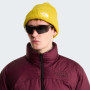 Căciulă The North Face Salty Lined Beanie