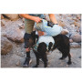 Ham pentru câini Ruffwear Palisades™ Pack