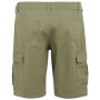 Pantaloni scurți bărbați Regatta Ruwan Shorts