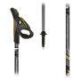 Bețe Nordic Walking Fizan NW Runner Gold