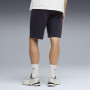 Pantaloni scurți bărbați Puma Ess 2 Color Logo Shorts