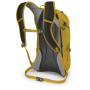 Rucsac Osprey Syncro 12