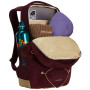 Rucsac The North Face Jester Pro