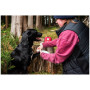 Trusă de prim ajutor pentru câini Mountain Paws Dog First Aid Kit