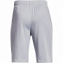 Pantaloni scurți copii Under Armour Prototype 2.0 Logo Shorts-GRY