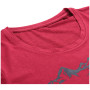 Tricou femei Alpine Pro Sassa