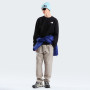 Hanorac bărbați The North Face M Evolution Box Nse Regular Crew