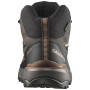 Încălțăminte bărbați Salomon X Ultra 360 Mid Gore-Tex