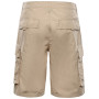 Pantaloni scurți bărbați Alpine Pro Urt