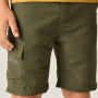 Pantaloni copii Regatta Sorcer Z/O Trousers III Treetop