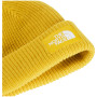 Căciulă The North Face Salty Lined Beanie