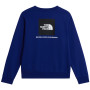 Hanorac bărbați The North Face M Evolution Box Nse Regular Crew
