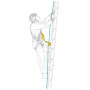 Amortizor Petzl Asap´Sorber 20cm
