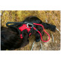Ham pentru câini Mountain Paws Dog Harness