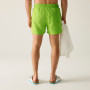 Costum de baie bărbați Regatta Mawson Swim Shorts III