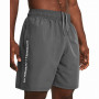 Pantaloni scurți bărbați Under Armour Woven Wdmk Shorts