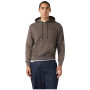 Hanorac bărbați Champion Hooded Sweatshirt M Champion Laundry