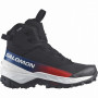 Încălțăminte bărbați Salomon Crosstrak Powder Waterproof Equipe
