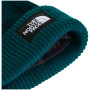 Căciulă The North Face Salty Lined Beanie