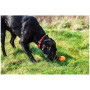 Jucărie pentru câini Mountain Paws Dog Wave Treat Ball Dispenser