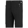 Pantaloni bărbați Regatta Mountain Z/O Trousers