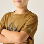 Tricou copii Regatta Alvarado Wood Brown