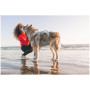 Ham pentru câini Ruffwear Swamp Cooler Harness