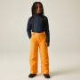 Pantaloni de schi copii Dare 2b Outmove III Insulated Pant ElectricOrng